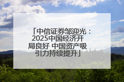 中信证券邹迎光：2025中国经济开局良好 中国资产吸引力持续提升