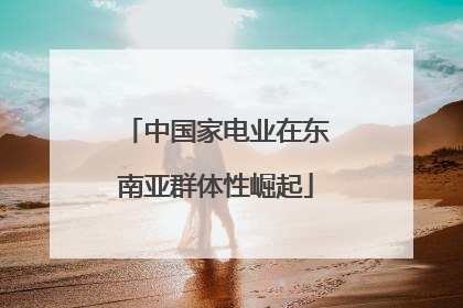中国家电业在东南亚群体性崛起