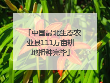 中国最北生态农业县111万亩耕地播种完毕