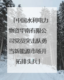 中国水利电力物资华南有限公司党员突击队勇当新能源市场开拓排头兵