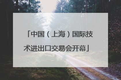 中国（上海）国际技术进出口交易会开幕