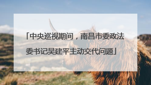 中央巡视期间，南昌市委政法委书记吴建平主动交代问题
