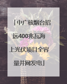中广核烟台招远400兆瓦海上光伏项目全容量并网发电
