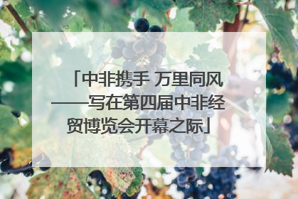 中非携手 万里同风——写在第四届中非经贸博览会开幕之际