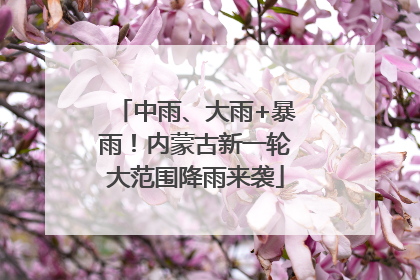 中雨、大雨+暴雨！内蒙古新一轮大范围降雨来袭