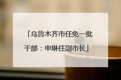 乌鲁木齐市任免一批干部：申琳任副市长