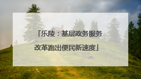 乐陵：基层政务服务改革跑出便民新速度