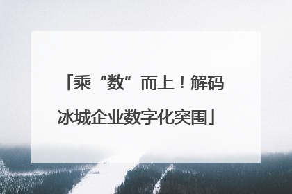 乘“数”而上！解码冰城企业数字化突围