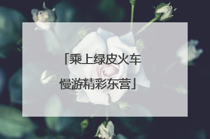 乘上绿皮火车 慢游精彩东营