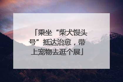 乘坐“柴犬馒头号”抵达治愈，带上宠物去逛个展