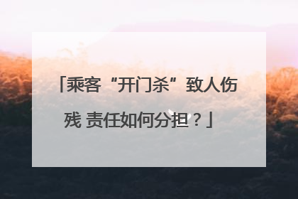 乘客“开门杀”致人伤残 责任如何分担？