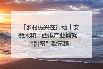 乡村振兴在行动丨安徽太和：西瓜产业铺就“甜蜜”致富路