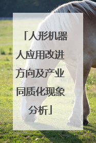 人形机器人应用改进方向及产业同质化现象分析
