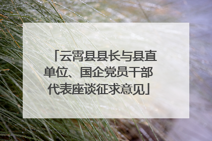 云霄县县长与县直单位、国企党员干部代表座谈征求意见