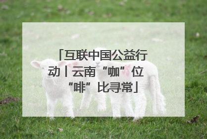 互联中国公益行动丨云南“咖”位“啡”比寻常