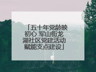 五十年党龄映初心 军山街龙湖社区党建活动赋能支点建设