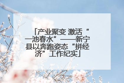 产业聚变 激活“一池春水”——新宁县以奔跑姿态“拼经济”工作纪实