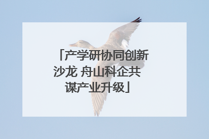 产学研协同创新沙龙 舟山科企共谋产业升级