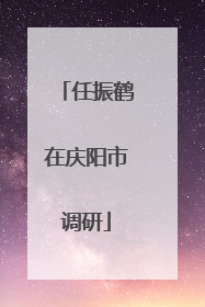 任振鹤在庆阳市调研