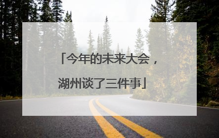 今年的未来大会，湖州谈了三件事