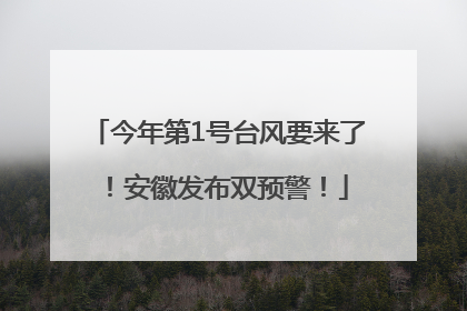 今年第1号台风要来了！安徽发布双预警！