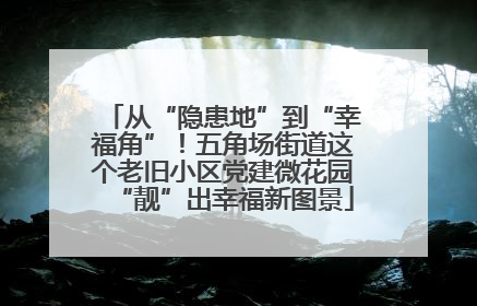 从“隐患地”到“幸福角”！五角场街道这个老旧小区党建微花园“靓”出幸福新图景