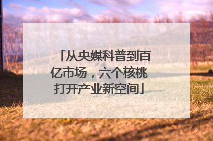 从央媒科普到百亿市场，六个核桃打开产业新空间