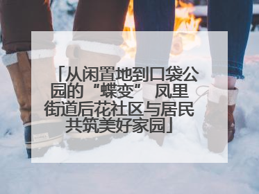 从闲置地到口袋公园的“蝶变” 凤里街道后花社区与居民共筑美好家园