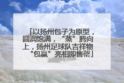 以扬州包子为原型，圆润饱满，“蒸”腾向上，扬州足球队吉祥物“包赢”亮相即售罄