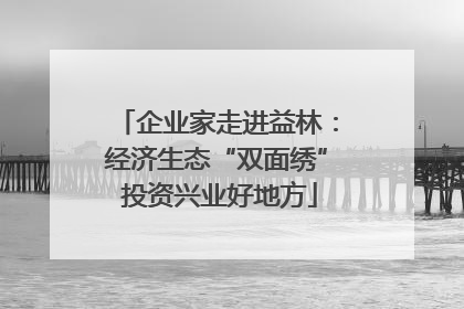 企业家走进益林：经济生态“双面绣” 投资兴业好地方