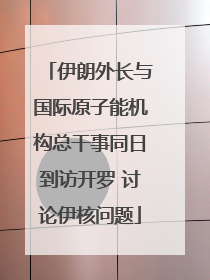 伊朗外长与国际原子能机构总干事同日到访开罗 讨论伊核问题