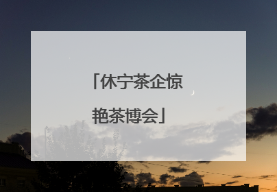 休宁茶企惊艳茶博会