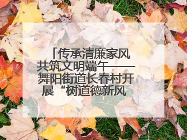 传承清廉家风 共筑文明端午——舞阳街道长春村开展“树道德新风 扬端午文化”主题活动