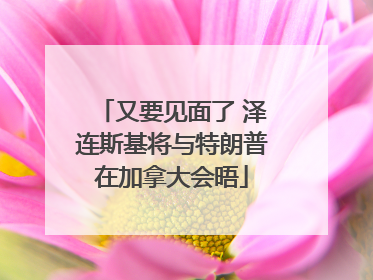 又要见面了 泽连斯基将与特朗普在加拿大会晤