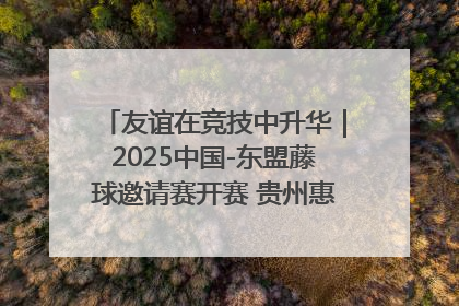 友谊在竞技中升华｜2025中国-东盟藤球邀请赛开赛 贵州惠水燃动“空中芭蕾”