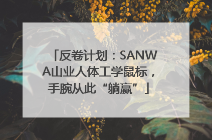 反卷计划：SANWA山业人体工学鼠标，手腕从此“躺赢”