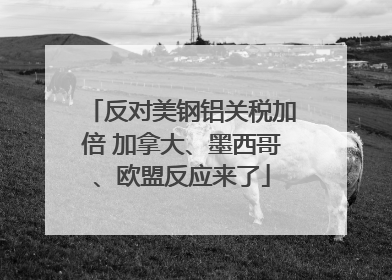 反对美钢铝关税加倍 加拿大、墨西哥、欧盟反应来了