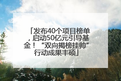 发布40个项目榜单，启动50亿元引导基金！“双向揭榜挂帅”行动成果丰硕
