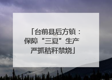 台前县后方镇：保障“三夏”生产 严抓秸秆禁烧
