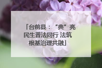 台前县：“典”亮民生普法同行 法筑根基治理共融