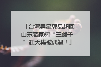 台湾男星郭品超回山东老家骑“三蹦子”赶大集被偶遇！