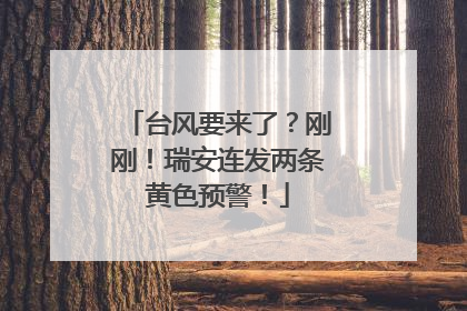 台风要来了？刚刚！瑞安连发两条黄色预警！