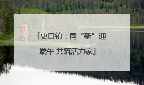 史口镇：同“新”迎端午 共筑活力家