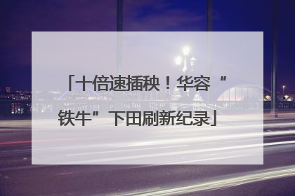 十倍速插秧！华容“铁牛”下田刷新纪录