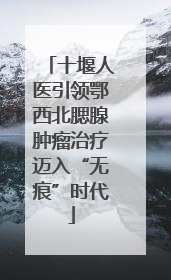 十堰人医引领鄂西北腮腺肿瘤治疗迈入“无痕”时代