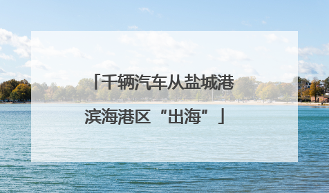 千辆汽车从盐城港滨海港区“出海”