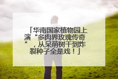 华南国家植物园上演“多肉界玫瑰传奇”，从呆萌树干到炸裂种子全是戏！