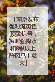 南京发布强对流黄色预警信号，短时强降水和8级以上阵风马上就来