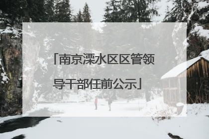 南京溧水区区管领导干部任前公示