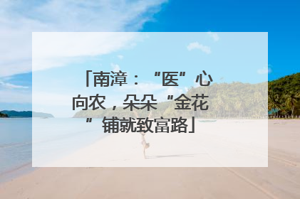 南漳：“医”心向农，朵朵“金花”铺就致富路